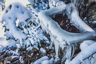 黑土上的白雪